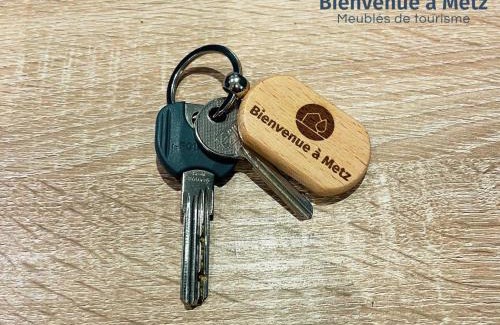 Metz Apartment | ☆ Mise au vert ☆ Studio tout confort ☆ NETFLIX ☆