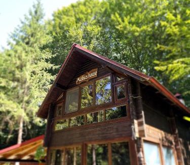 Avrig House | Misha's House
