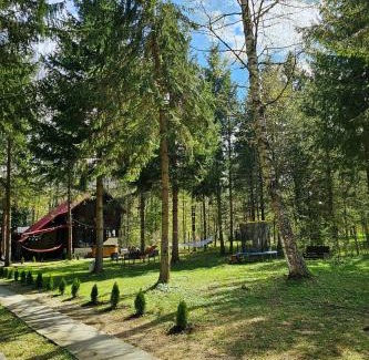 Avrig House | Misha's House