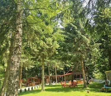 Avrig House | Misha's House