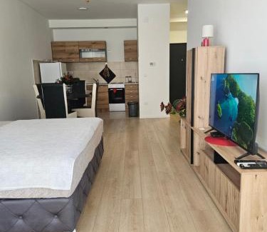 Mladenovac Apartment | Miss Lux