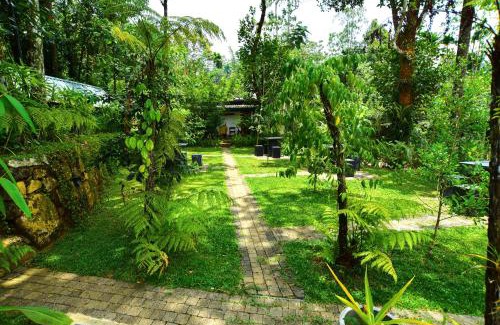 Nelluwa House | Mist of Sinharaja