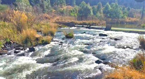 Lions River House | Misty River