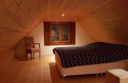 Lajosmizse House | Misze Tanya