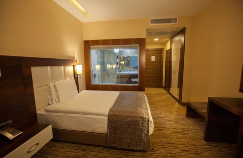 Yenisehir Hotel | Mitannia Regency Hotel