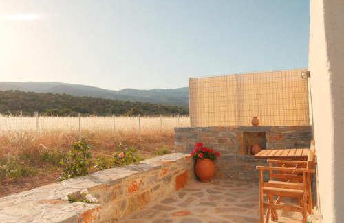 Naxos Apartment | Mitatos "Matthew"