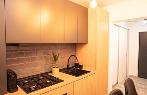 Lupeni Apartment | MJ Apartment