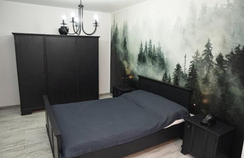 Lupeni Apartment | MJ Apartment