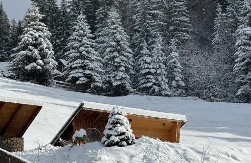Moeciu de Sus Ski Chalet | Moșia Sofiei