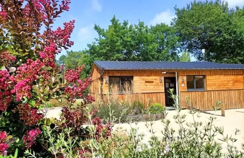Ploemel House | Mobil-home Eco - 27m2 - 2 Schlafzimmer 4 Personen