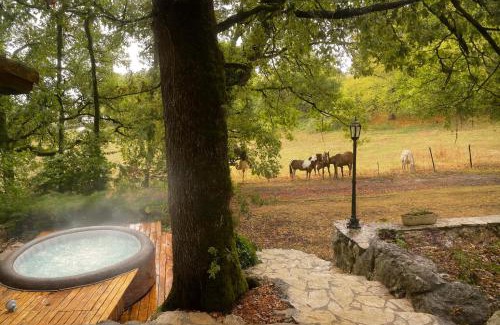 Bouniagues Other | Mobil-home façon chalet spa au calme en nature