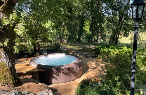 Bouniagues Other | Mobil-home façon chalet spa au calme en nature