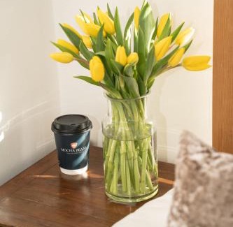 Roscoe Bed & Breakfast | Mocha Newcastle