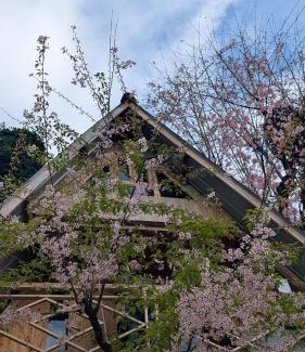 Geyzing House | Mochileros Cherry Tree House