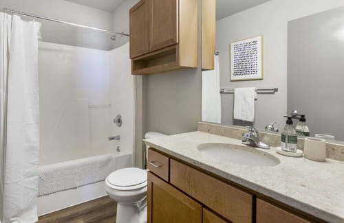 Downtown Omaha Apartment | Modern Apartment in Prime Location (ID1397X153)