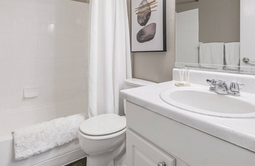 St. Petersburg - Clearwater Apartment | Modern Apartment in Prime Location (ID8638X74)