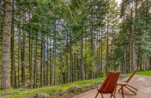 Stevenson Cabin | Modern cabin, views, geothermal hot tub, indoor steam sauna & deck