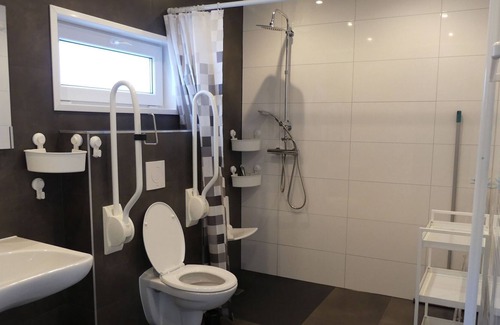 Oldebroek Ski Chalet | Modern chalet for the disabled, at the forest
