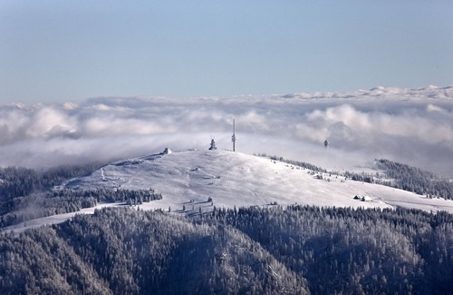 Breitnau Apartment | Modern chalets in the Black Forest incl. Hochschwarzwaldcard