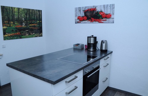 Bad Laer Apartment | Modern, comfortable and very large accommodation offers 100% privacy