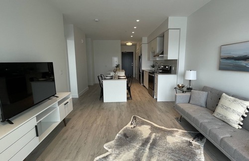 Cambridge Condo | Modern Condo in Downtown Cambridge- monthly options .