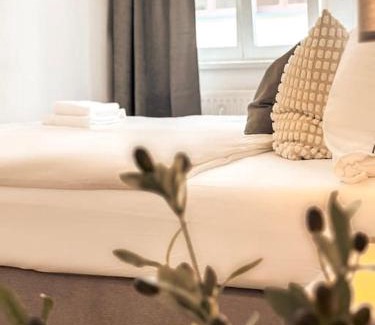 Zittau Apartment | Modern eingerichtete Wohnung im Stadtzentrum Zittau kostenloser Parkplatz