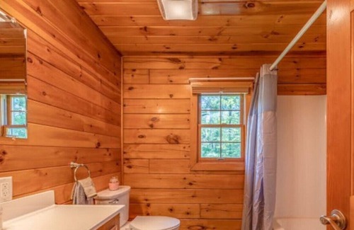 Old Town Cabin | Modern Lakefront Cabin with Hot Tub & Amazing View