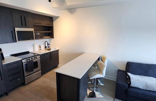 Lowertown Apartment | Modern new condo in the heart of downtown - Full furnished