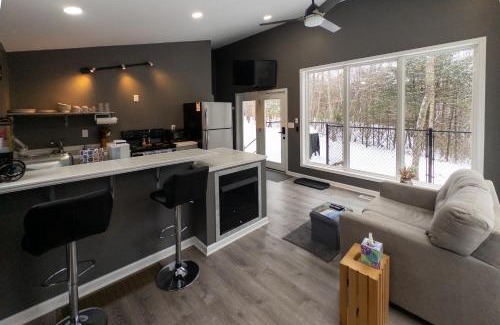 Nimitz Apartment | Modern Nimitz Cabin on 19 Acres with Fireplace and WiFi