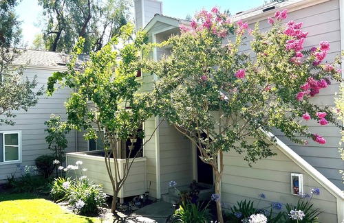 San Ramon Condo | Modern San Ramon Condo – Stylish, Comfy Peaceful & Perfectly Located!