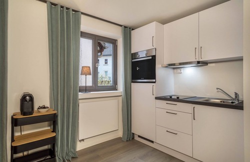 Wangen im Allgaeu Apartment | Modern Studio Apartment No. 15 in the City Center with Wi-Fi