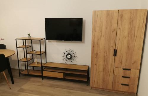 Tirgu Mures Apartment | Modern Studio