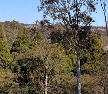 Guyra Apartment | Modern studio with fabulous views