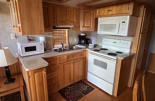 Almont Cabin | Modern "Tiny Home" Style Cabin on Taylor River with Private Fishing Access