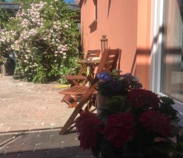 Gallin Apartment | Moderne großzügige Souterrainwohnung Zarrentin Gallin Schaalsee Natur Wald Wasser