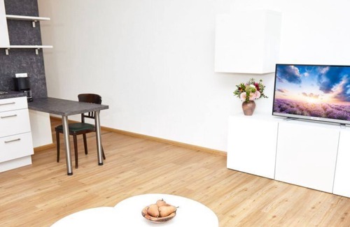 Ebelsbach Apartment | Modernes 48qm Apartment mit französischem Balkon, kostenfreies WLAN, komplett ausgestattete Küchenzeile