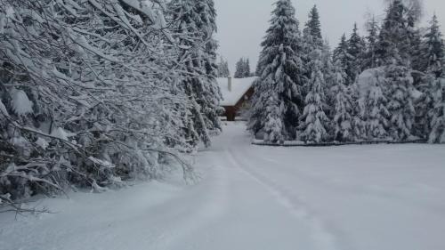 Sincraieni Bed & Breakfast | Mofetta Panzió
