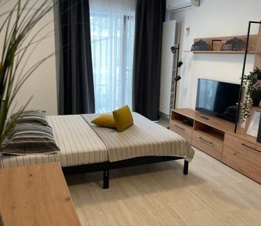 Drumul Taberei Apartment | Moghioros Park Residence DUM3