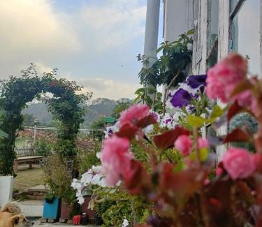 Sukha House | Mohraj home stay