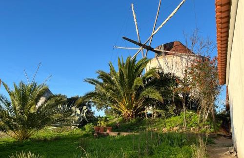 Santiago do Cacem Apartment | Moinhos do Paneiro, Studio IDA without kitchen, sea view