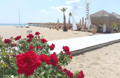 Sveti Vlas Apartment | Monastery II Garden stay like home