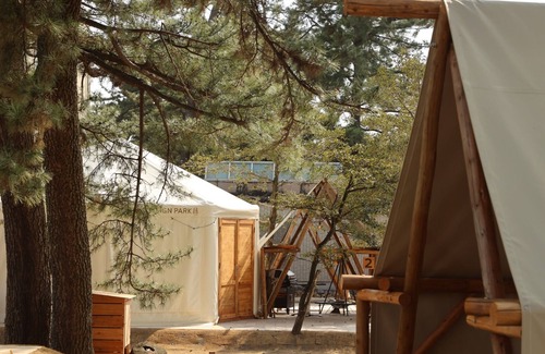 Ichinomiya RV Rental | Monday to Thursday Gorgeous glamping tent/Ichinomiya City Aichi