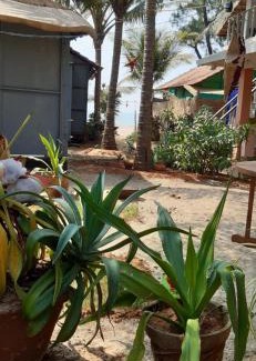 Agonda Hotel | Monsoon