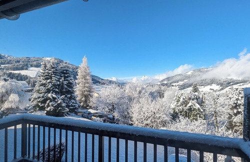 Le Planellet Apartment | Mont d'Arbois Apartment Pied des Pistes 6/8 People Refurbished