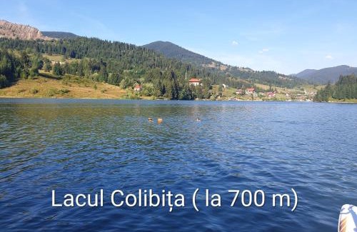 Bistrita Bargaului House | Montana Resort Colibita