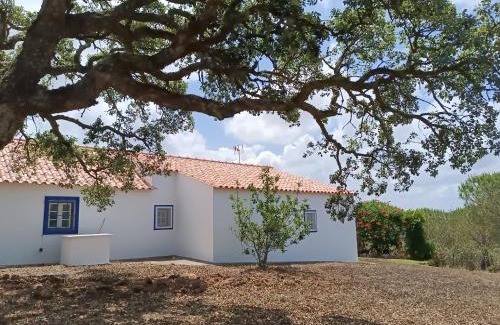 Melides House | Monte Alentejano - Melides