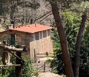 Massa House | Monte Brugiana Centro trekking a cavallo