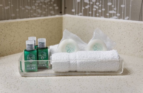 Gateway Hotel | Monte Carlo Inn Airport Suites