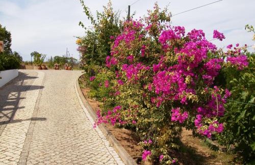 Bravura House | Monte da Bravura Green Resort