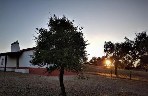 Santa Margarida da Serra Apartment | Monte da Clareira - Comporta Carvalhal Melides